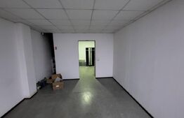 Sptiu 210 mp, zona Debarcader