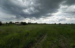 Teren Bucureasa - Dănești 4796 mp