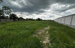 Teren Bucureasa - Dănești 4796 mp