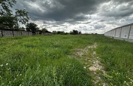 Teren Bucureasa - Dănești 4796 mp