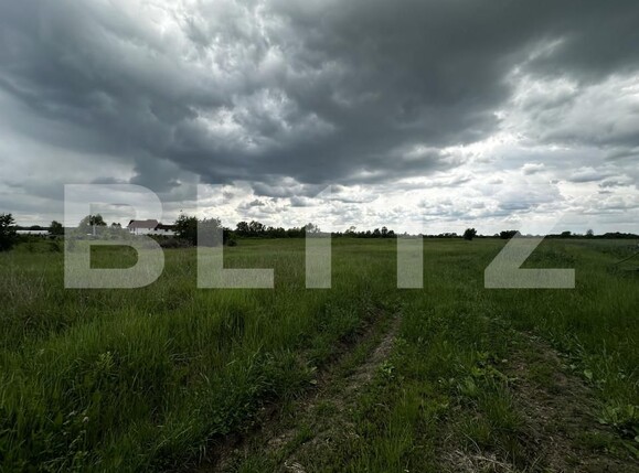 Teren de vânzare Sud Est - 151742TV | BLITZ Târgu Jiu | Poza3