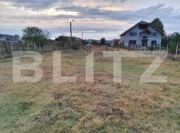 Teren de vânzare Central - 151744TV | BLITZ Târgu Jiu | Poza6