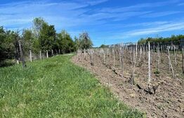 Casa renovabila de vanzare situata intr-o zona linistita in comuna Balanesti