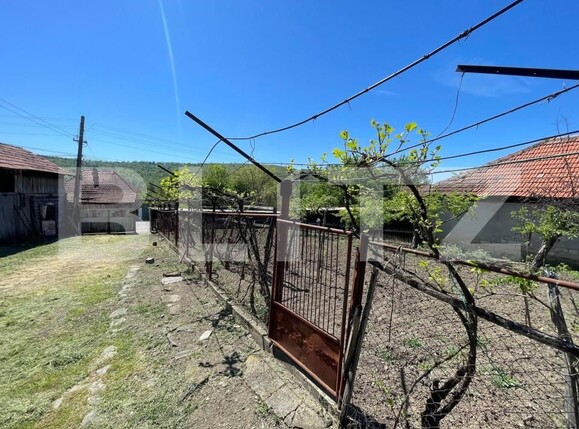 Casa de vânzare 2 camere Exterior Est - 152056CV | BLITZ Târgu Jiu | Poza3