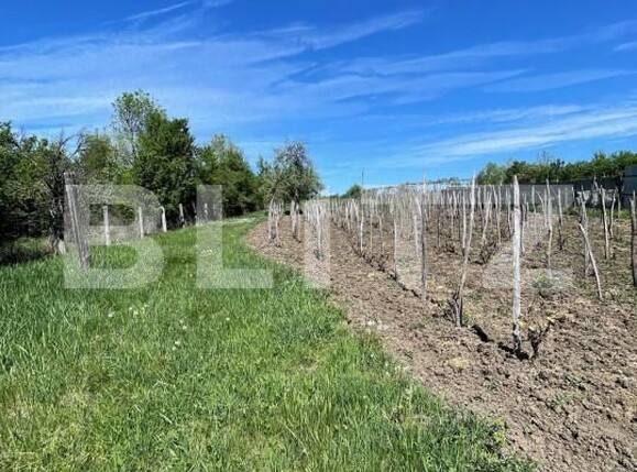 Casa de vânzare 2 camere Exterior Est - 152056CV | BLITZ Târgu Jiu | Poza5