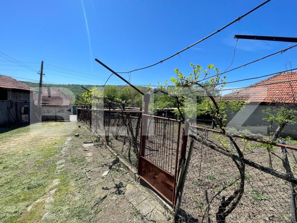 Casa de vânzare 2 camere Exterior Est - 152056CV | BLITZ Târgu Jiu | Poza3