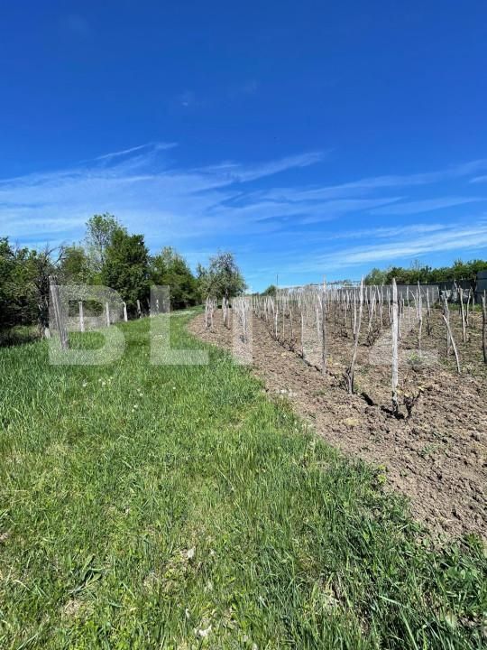 Casa de vânzare 2 camere Exterior Est - 152056CV | BLITZ Târgu Jiu | Poza5