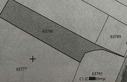 Teren 5000 mp extravilan , zona Romanesti