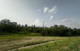 Teren 5000 mp extravilan , zona Romanesti