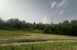 Teren 5000 mp extravilan , zona Romanesti