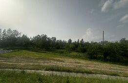 Teren 5000 mp extravilan , zona Romanesti