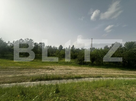 Teren de vânzare Exterior Sud - 152716TV | BLITZ Târgu Jiu | Poza3