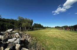 Teren 5000 mp, zona Lelesti