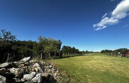 Teren 5000 mp, zona Lelesti