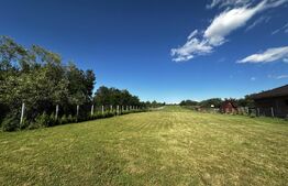 Teren 5000 mp, zona Lelesti