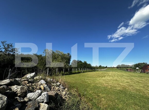 Teren de vânzare Vest - 153187TV | BLITZ Târgu Jiu | Poza3