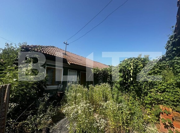 Casa de vânzare 4 camere Exterior Sud - 153414CV | BLITZ Târgu Jiu | Poza4