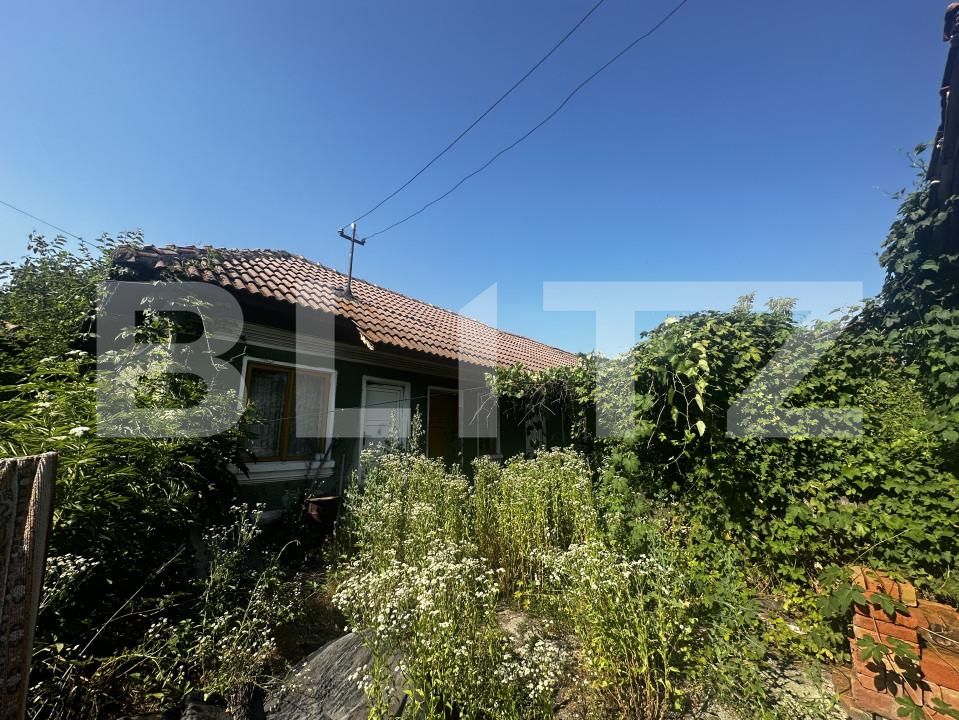 Casa de vânzare 4 camere Exterior Sud - 153414CV | BLITZ Târgu Jiu | Poza4