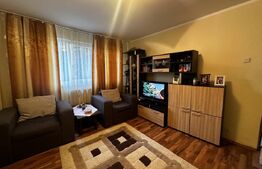 Apartament 3 camere, Aleea Teilor