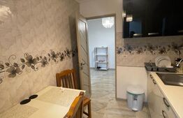 Apartament 1 camera, decomandat, 43mp, Zona Garofitei