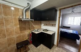 Garsoniera 22 mp , zona Lotrului