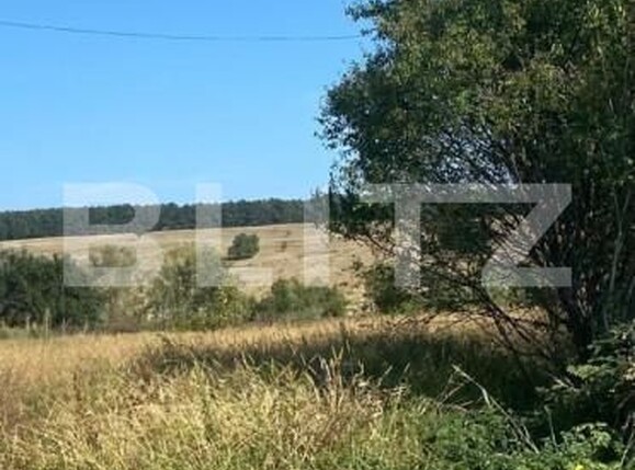 Teren de vânzare Central - 153598TV | BLITZ Târgu Jiu | Poza1