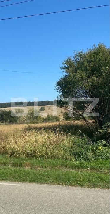 Teren de vânzare Central - 153598TV | BLITZ Târgu Jiu | Poza1