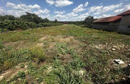 Teren 1900 mp, zona Runcu