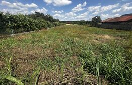 Teren 1900 mp, zona Runcu