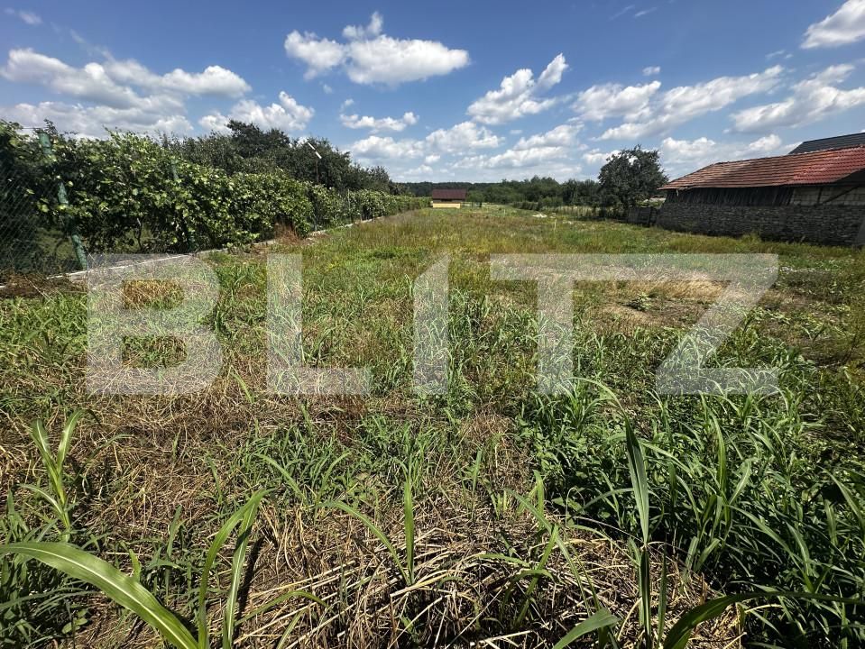 Teren de vânzare Vest - 153991TV | BLITZ Târgu Jiu | Poza4