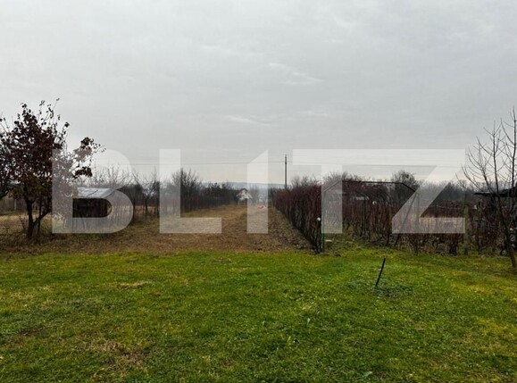 Casa de vânzare 5 camere Exterior Vest - 154054CV | BLITZ Târgu Jiu | Poza5