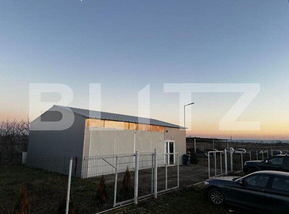 Spațiu industrial de vânzare Est - 155033SVI | BLITZ Târgu Jiu | Poza3