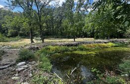 Teren, 12 000 mp, zona Crasna