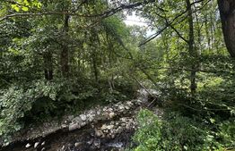 Teren, 12 000 mp, zona Crasna