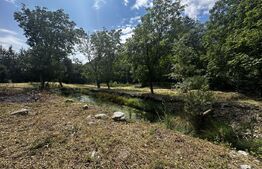 Teren, 12 000 mp, zona Crasna