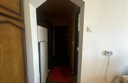 Garsoniera 28 mp, zona Savinesti