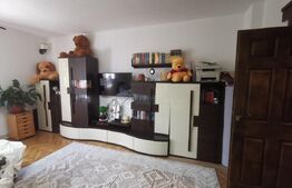 Casa de vacanta 215 mp si 4000 mp teren, zona Lelesti