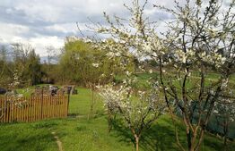 Casa de vacanta 215 mp si 4000 mp teren, zona Lelesti