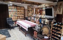 Casa de vacanta 215 mp si 4000 mp teren, zona Lelesti