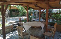 Casa de vacanta 215 mp si 4000 mp teren, zona Lelesti