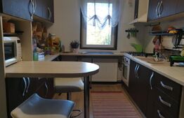 Casa de vacanta 215 mp si 4000 mp teren, zona Lelesti