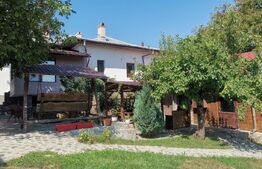 Casa de vacanta 215 mp si 4000 mp teren, zona Lelesti