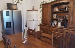 Casa de vacanta 215 mp si 4000 mp teren, zona Lelesti