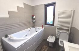 Casa de vacanta 215 mp si 4000 mp teren, zona Lelesti