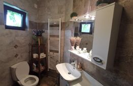 Casa de vacanta 215 mp si 4000 mp teren, zona Lelesti