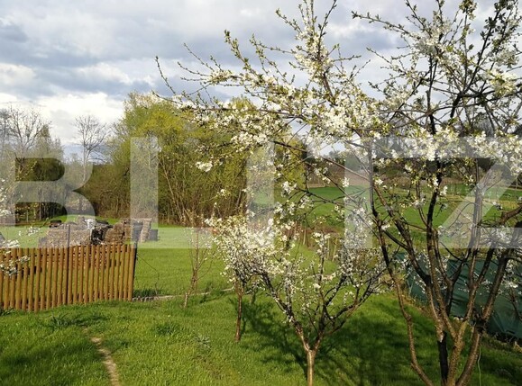 Casa de vânzare 4 camere Exterior Vest - 157627CV | BLITZ Târgu Jiu | Poza4