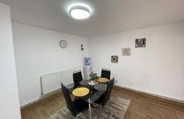 Casa P+M, mobilata si utilata, Ursati