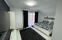 Casa P+M, mobilata si utilata, Ursati