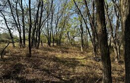 Teren intravilan 3400 mp, zona Sanatesti