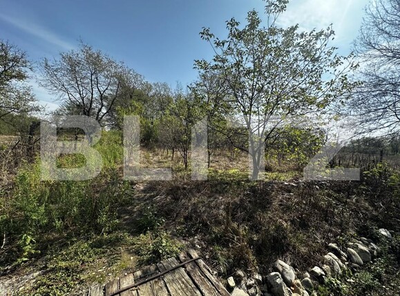 Teren de vânzare Exterior Vest - 158681TV | BLITZ Târgu Jiu | Poza3